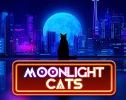 Moonlight Cats